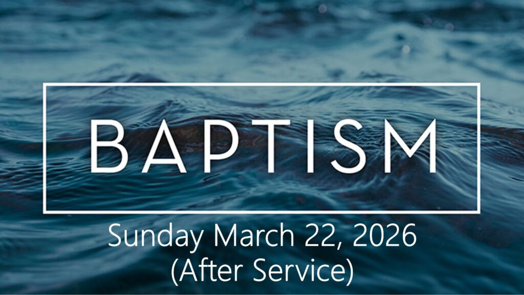 WhatsApp Image 2026-02-02 at 19.56.47